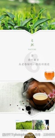 传统茶文化茶叶详情页