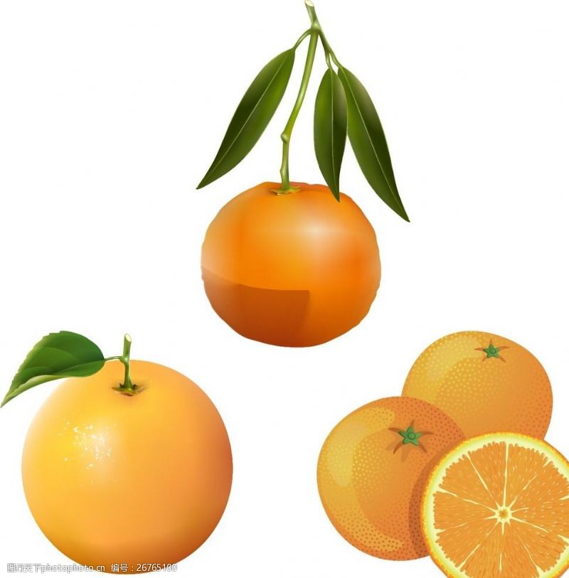 橙子切片素材橙子素材