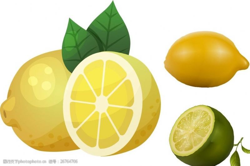 水果切面柠檬
