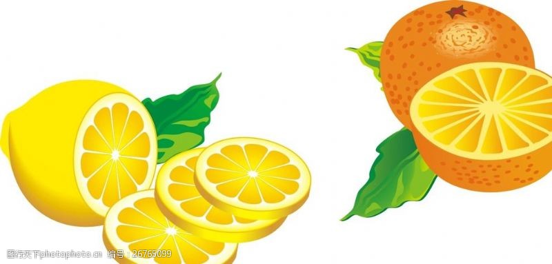 橙子切片素材柠檬片橙子