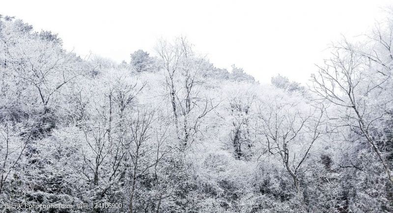 黔东南州雪景