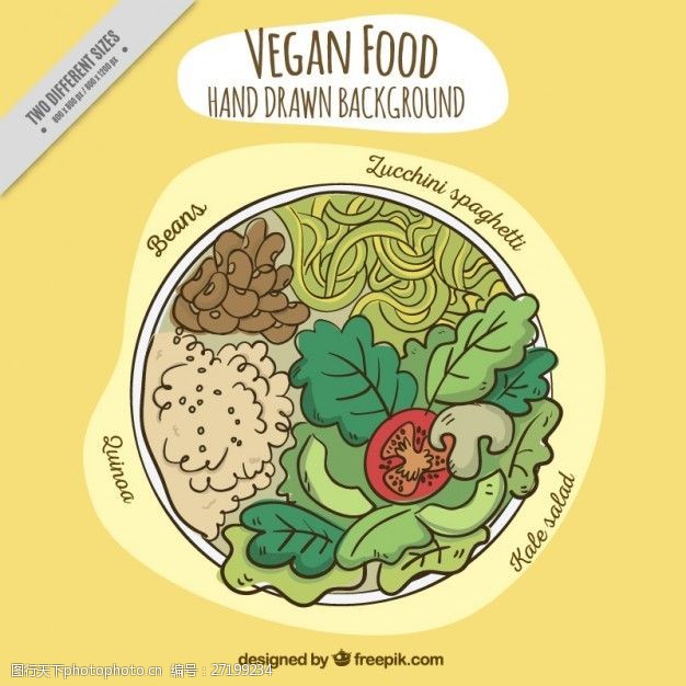 蔬菜种类手绘各种纯素食品的背景