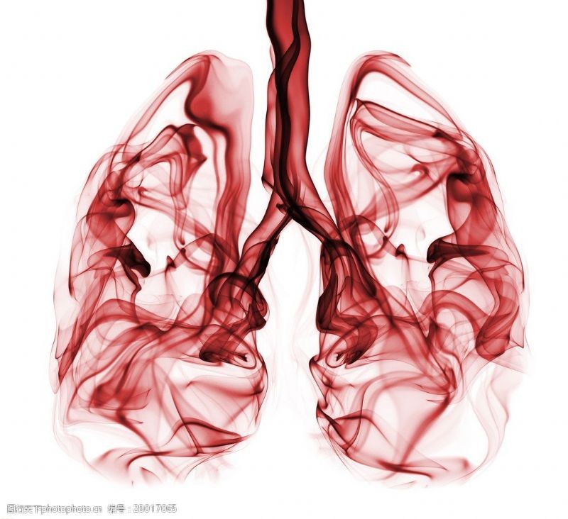 禁止吸烟吸烟者的肺部素材图片