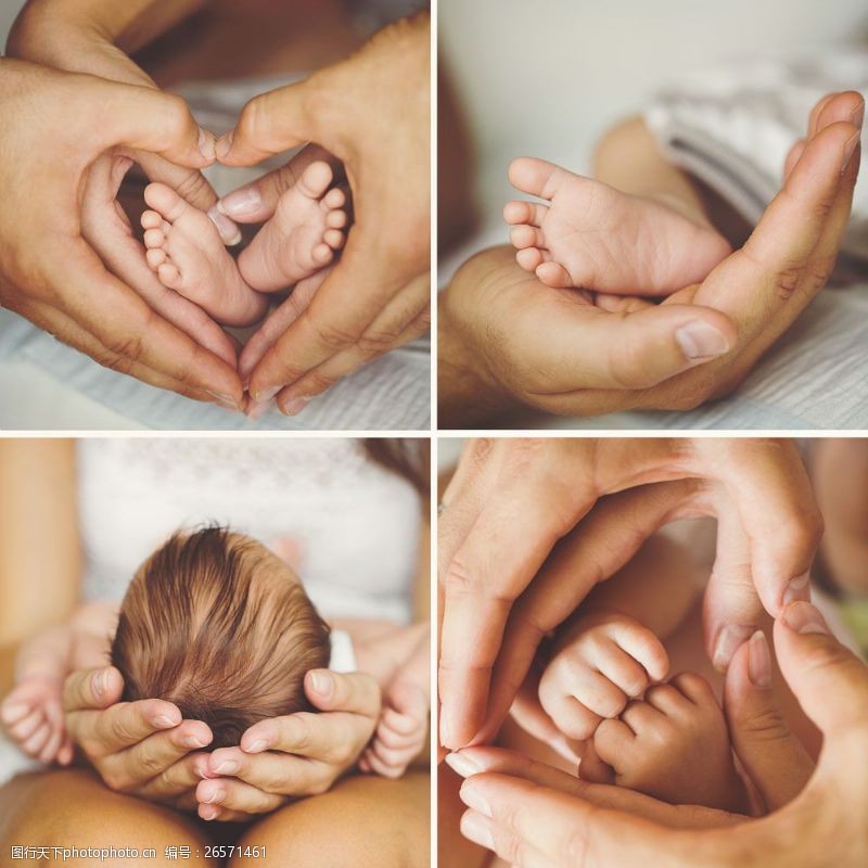 双手捧着双手呵护新生儿图片