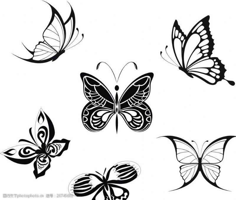 黑色的剪影飞舞的蝴蝶
