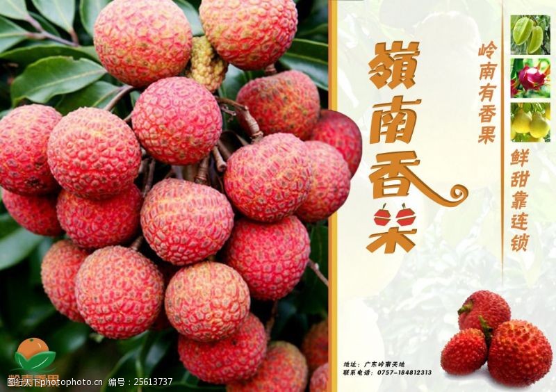 果岭水果海报