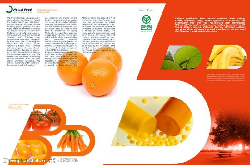 集团画册封面水果类产品设计