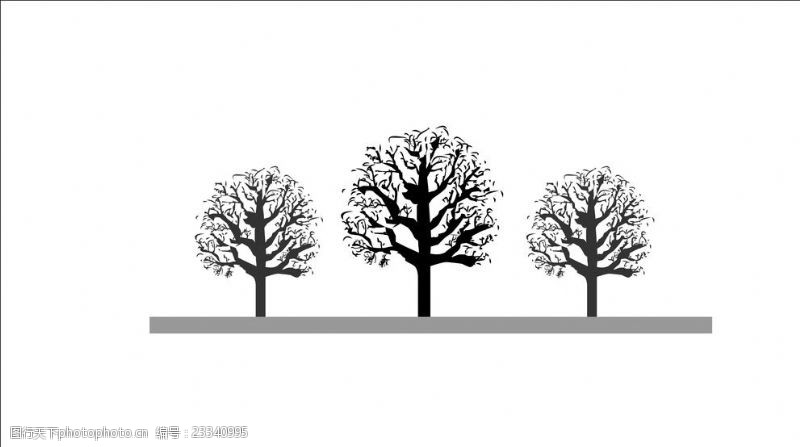 枝干线描树卡通树