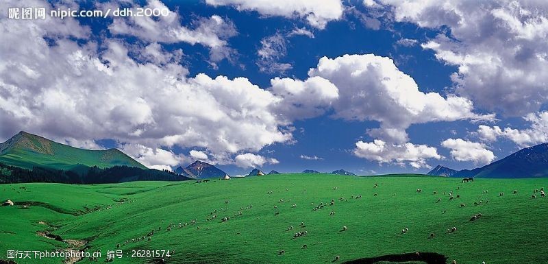 那拉提草原新疆草原图片