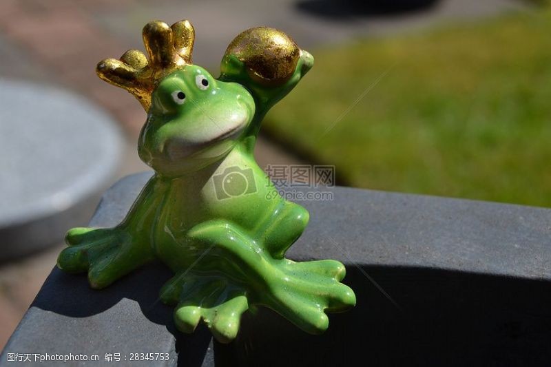 青蛙王子池塘边的青蛙