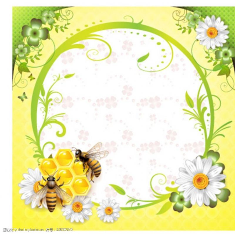 彩色的花明亮朝气的蜜蜂采蜜画框