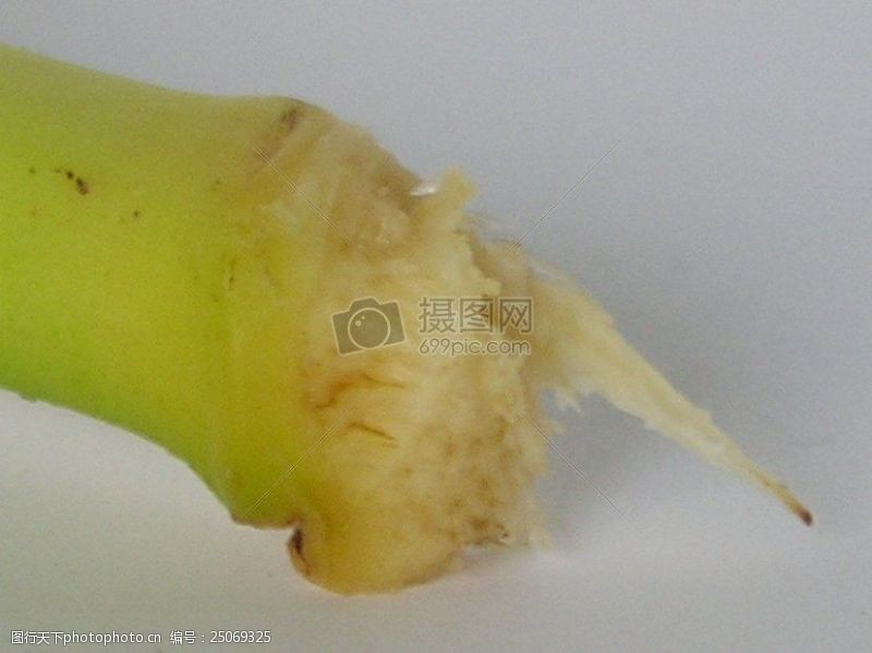 阿马里洛Banana5.JPG