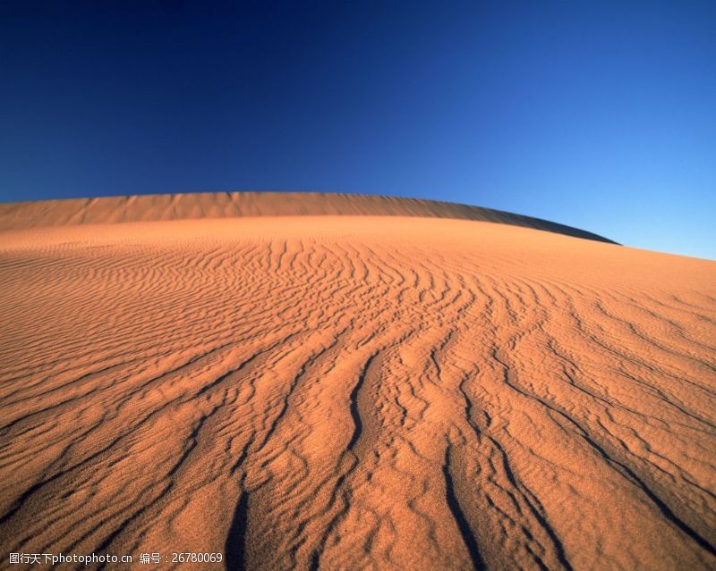 气候热带沙漠风景图片