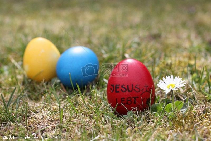 复活草草地上的复活节彩蛋