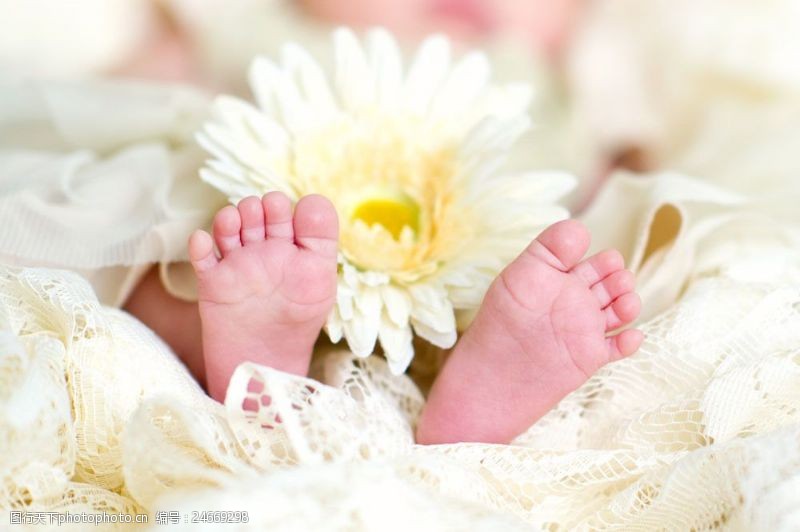 婴儿脚鲜花与小脚丫图片