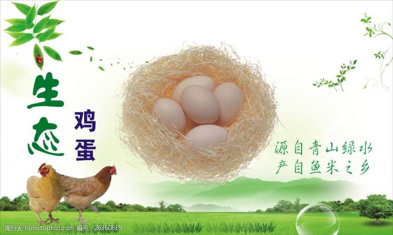 无污染鸡蛋生态鸡蛋海报