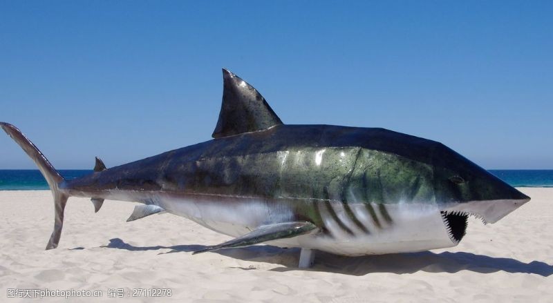 工艺品免费下载海边鲨鱼雕塑图片