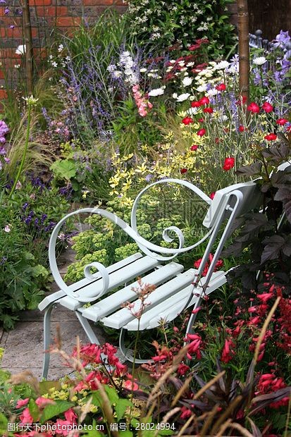 花园中花丛中的椅子