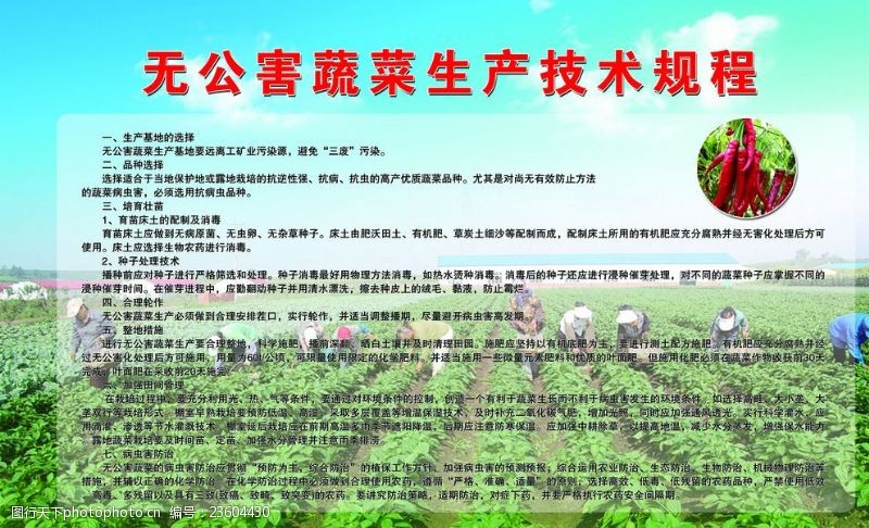 肥业宣传册辣椒推广项目