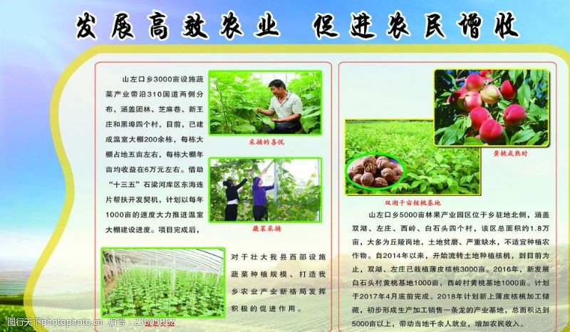 蔬菜基地发展高效农业促进农民增收