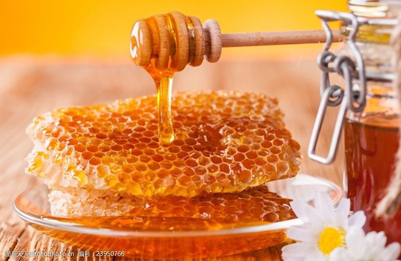 黄蜜蜂蜜之味