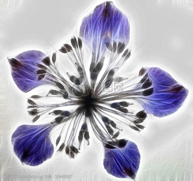 撰写紫色花艺术图像