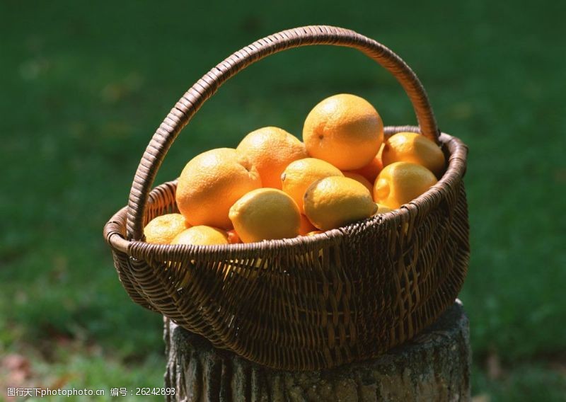 菜篮子树墩上一篮子橙的图片图片