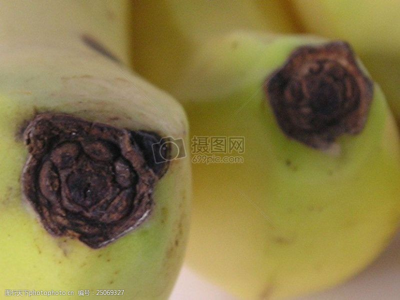 阿马里洛Bananas3.JPG