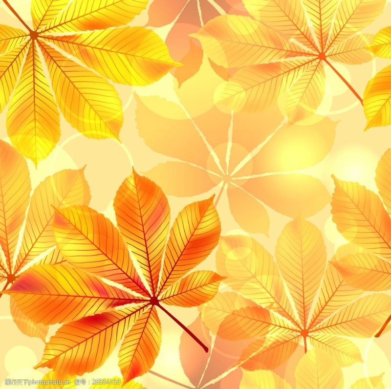 秋季梦幻树叶背景叶子