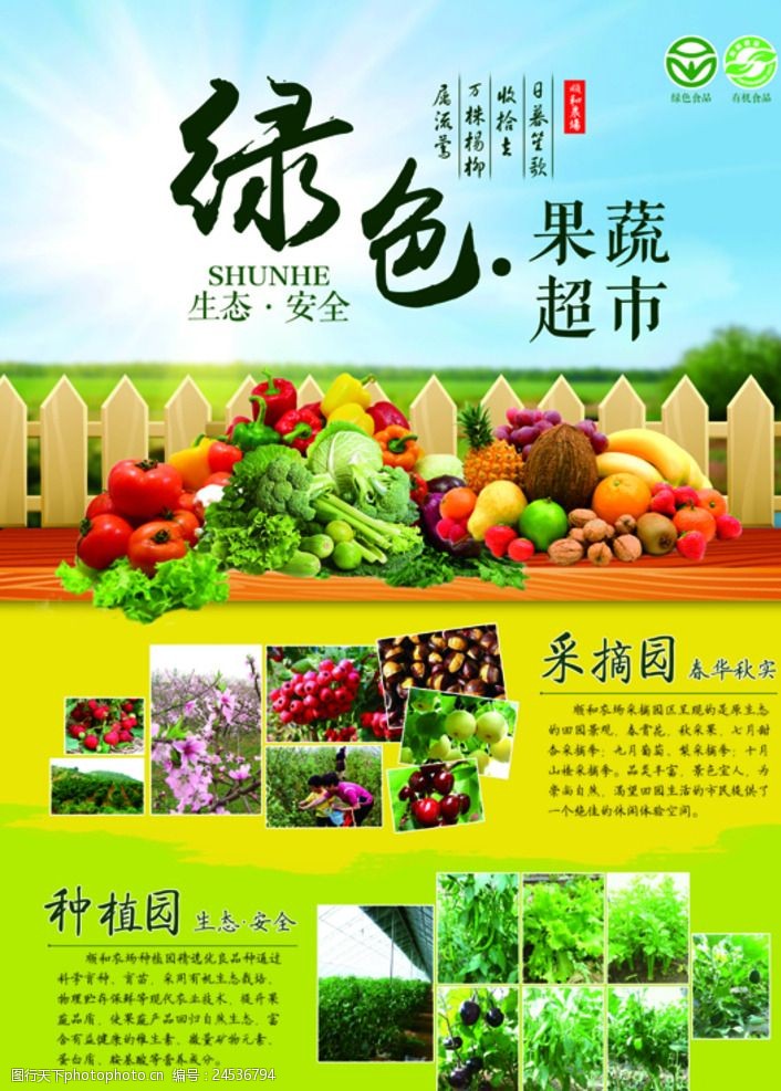 农场宣传单绿色有机蔬菜食品宣传