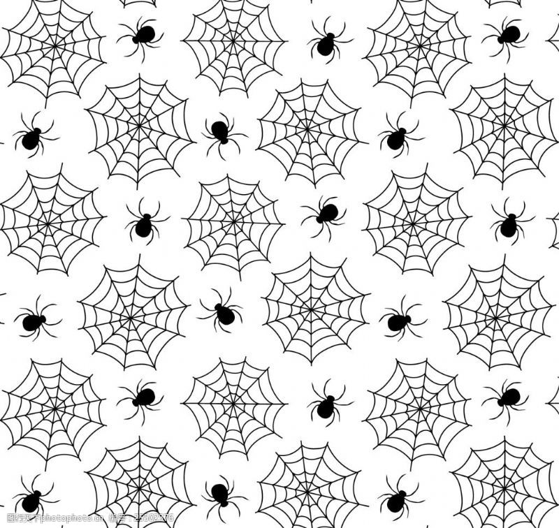 白蜘蛛网图案