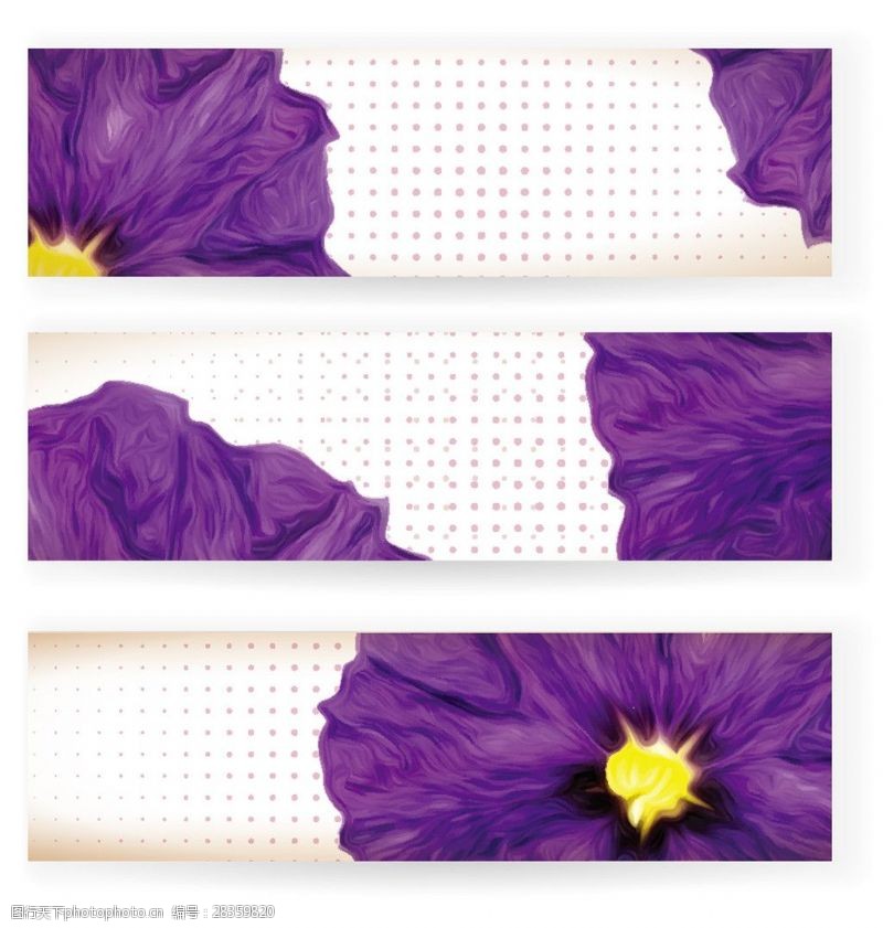 花纹花卉横幅紫色花朵横幅
