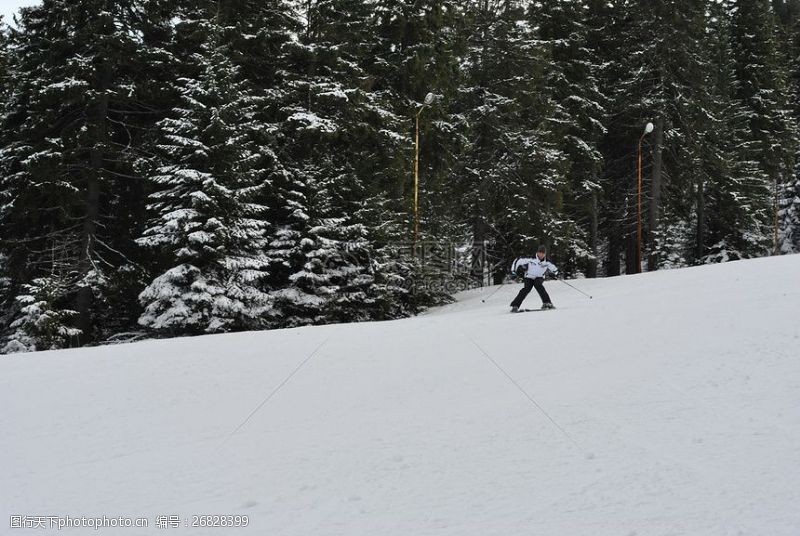 滑雪DSC0178.JPG