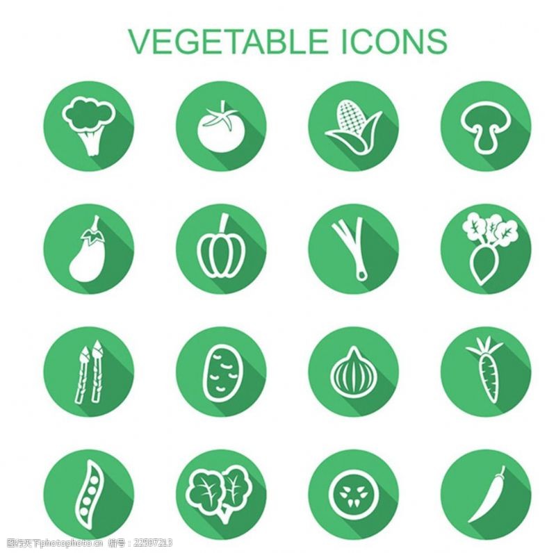 葱白蔬菜图标