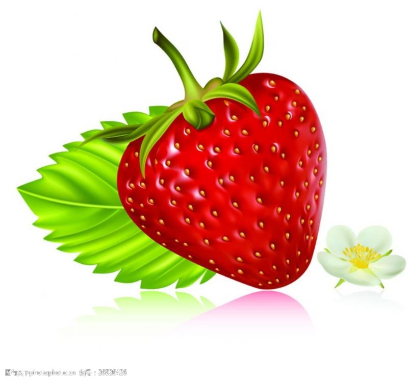 雪菜草莓
