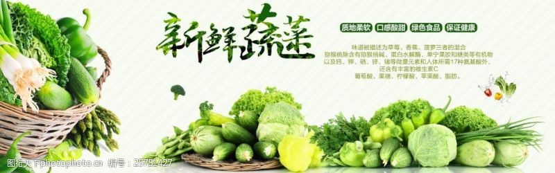 蔬菜基地水果蔬菜海报