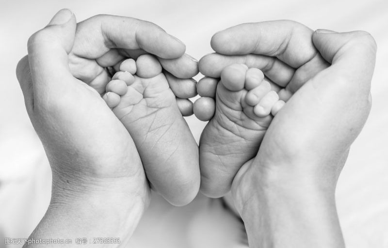 双手捧着的新生儿小脚图片