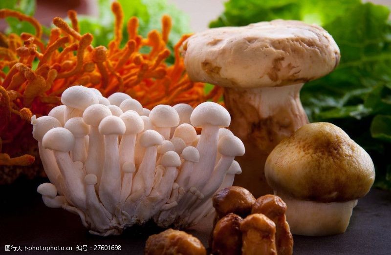 云南美食云南菌菇图片