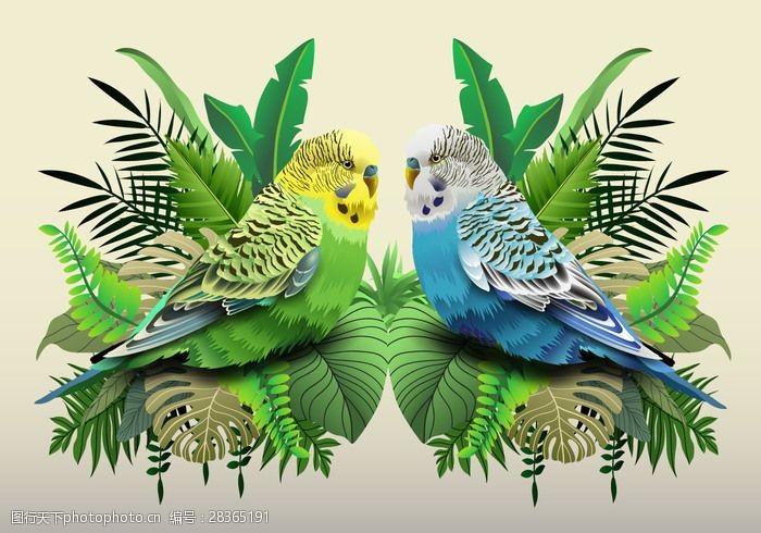 内在可爱绿色和蓝色的鹦鹉在叶