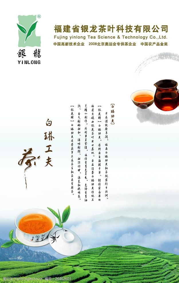 茶叶市场白琳工夫茶海报