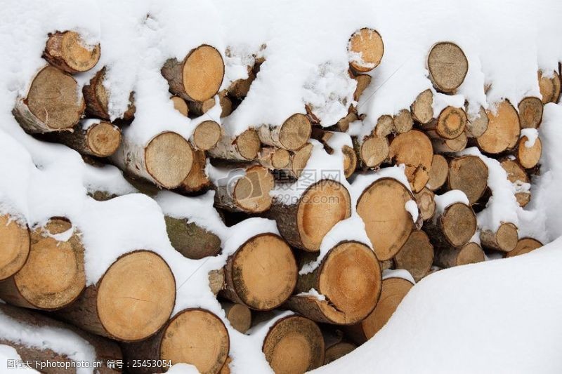 伐木冰雪中的木材