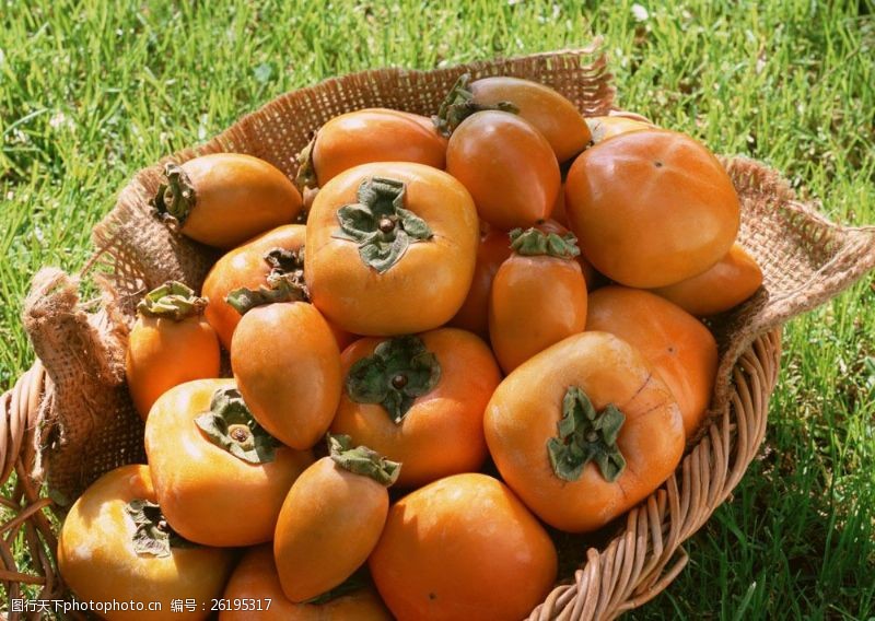 世界美食柿子图片