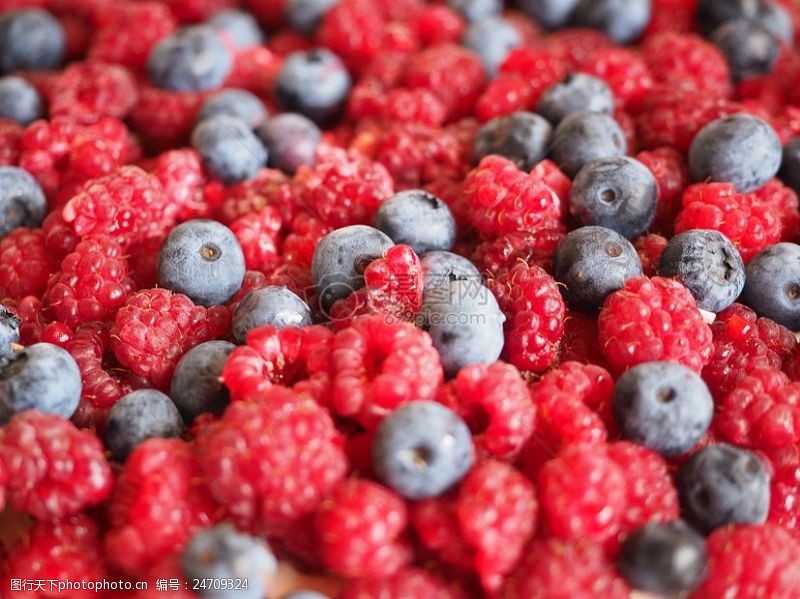 盆子树莓和蓝莓水果
