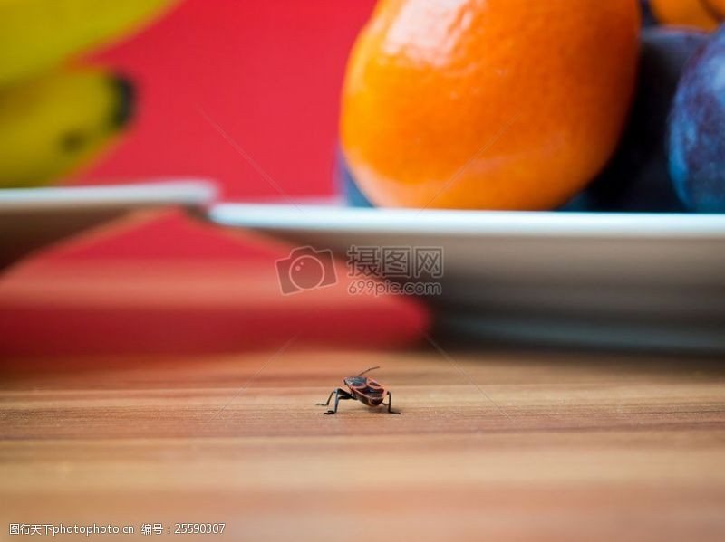 夏季购物N水果bug