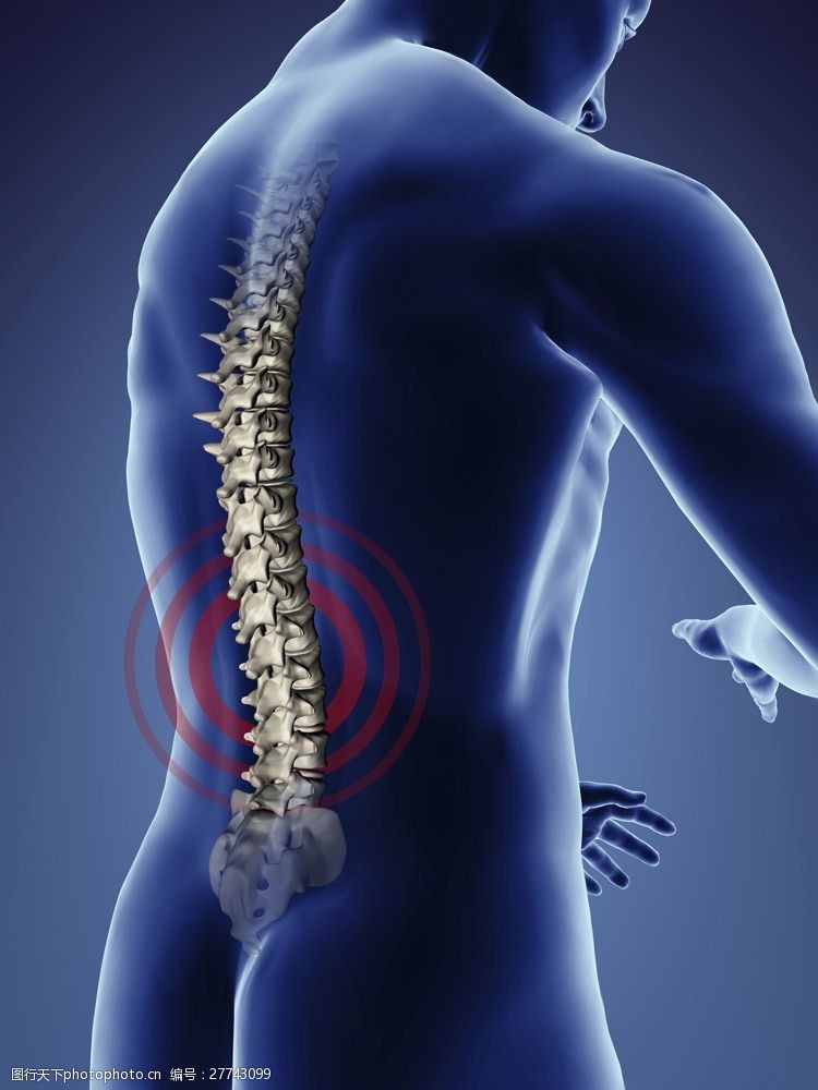 骨骼结构图腰部疼痛图片