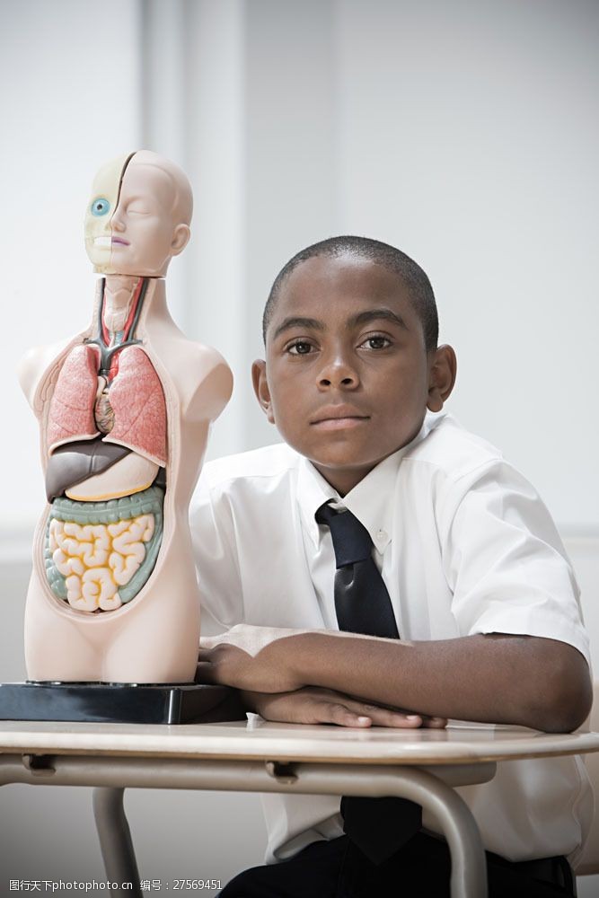 课外研究人体结构的黑人男孩图片
