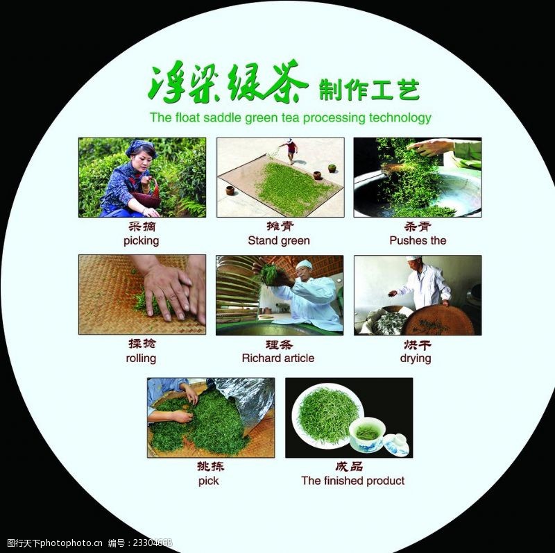 采茶浮梁绿茶制作工艺图
