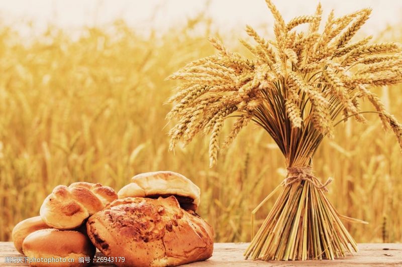 丰田面包与小麦的特写图片
