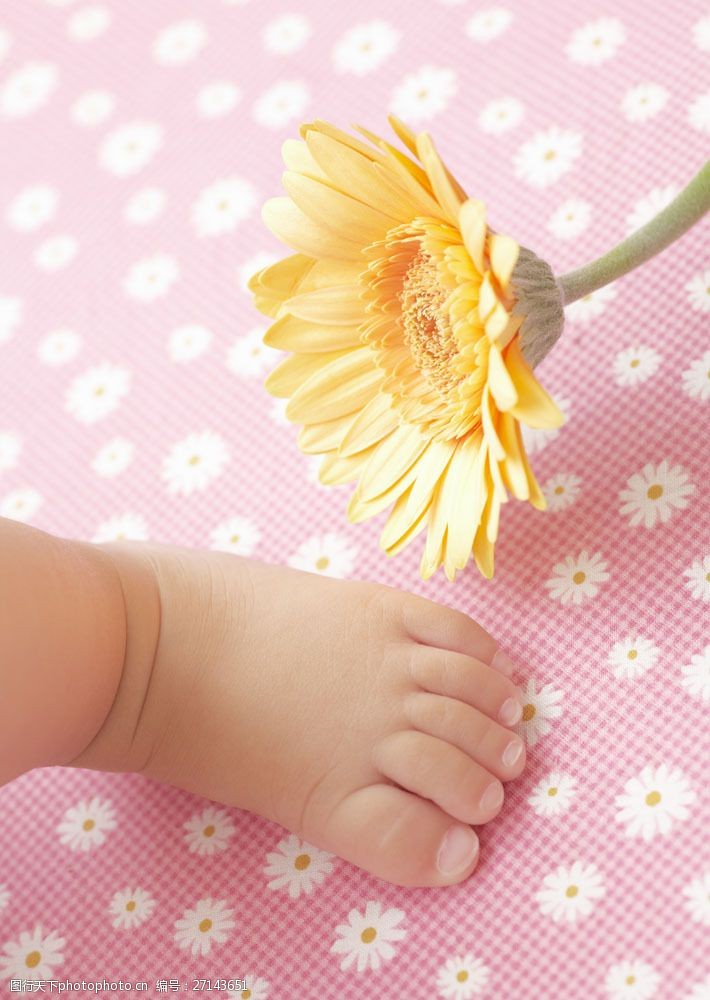 婴儿脚可爱婴儿小脚与鲜花图片