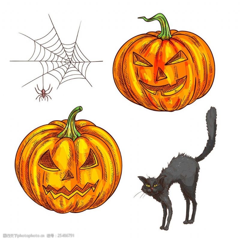 蜘蛛网小猫和南瓜灯图片